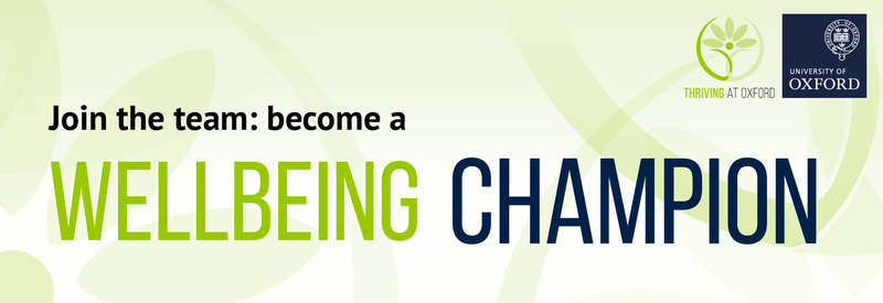 Wellbeing champion banners 04 wellbeing champion banners 04